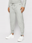 Polo Ralph Lauren Dressip&uuml;ksid 714844763001 Hall Regular Fit