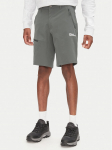 Jack Wolfskin Spordi&scaron;ortsid Pico Trail A63908 Roheline Regular Fit