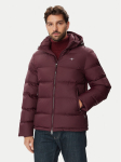 Gant Talvejope Active Cloud 7006661 Bordoopunane Regular Fit