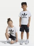 adidas Komplekti kuuluvad t-s&auml;rk ja &scaron;ortsid adicolor JE1613 Must Regular Fit