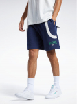 Reebok Spordi&scaron;ortsid Classics Varsity Shorts HS9180 Sinine S