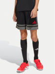 adidas Spordi&scaron;ortsid Squadra 25 JN4448 Must Regular Fit