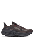 Mizuno Jooksujalatsid Neo Daichi 10 J1GM2680 Pruun