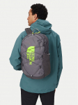 The North Face Seljakott COURT JESTER BKP SMOKED PEAR NF0A52VY7E11 Hall