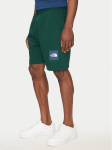 The North Face Spordi&scaron;ortsid Nse Box NF0A8C1J Roheline Regular Fit S