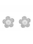 Swarovski K&otilde;rvar&otilde;ngad 5756098 H&otilde;bedane