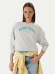 Tommy Jeans Pluus Varsity Crew DW0DW22365 Hall Regular Fit