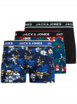 Jack & Jones Bokserite komplekt Flower 12171253 V&auml;rviline