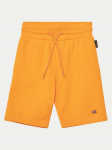 Napapijri Spordi&scaron;ortsid Nalis NP0A4HK5A701 M Oranž Regular Fit