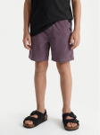Quiksilver Riidest &scaron;ortsid Taxer Cord EQBWS03371 Lilla Regular Fit