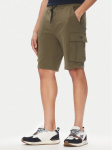 Aeronautica Militare Spordi&scaron;ortsid 251BF025F459 Khakiv&auml;rviline Regular Fit