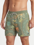 Billabong Ujumis&scaron;ortsid EBYJV00159 Roheline Regular Fit
