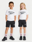 Reebok Komplekti kuuluvad t-s&auml;rk ja &scaron;ortsid Blake RK95033CCB V&auml;rviline Regular Fit