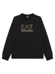 EA7 Emporio Armani Pluus 7B000352 AF13512 UC001 Must Regular Fit