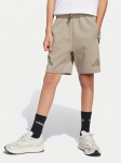 adidas Spordi&scaron;ortsid Z.N.E. JD0009 Beež Loose Fit