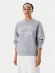 Tommy Jeans Pluus Varsity DW0DW21202 Hall Boxy Fit