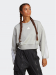 adidas Pluus Future Icons 3-Stripes Sweatshirt IB8496 Hall Loose Fit