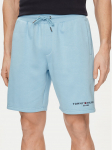 Tommy Hilfiger Spordi&scaron;ortsid Logo MW0MW34201 Sinine Regular Fit