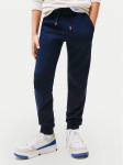 Tommy Hilfiger Dressip&uuml;ksid Script Flag KB0KB09694 Tumesinine Regular Fit