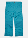 Columbia Outdoor p&uuml;ksid Bugaboo&trade; II Pant Sinine Regular Fit L