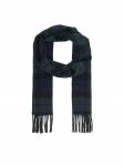 Barbour Sall New Check Tartan USC0137NY91 Roheline