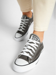 Converse Tennised Chuck Taylor All Star OX 1J794 Hall