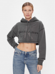 Calvin Klein Jeans Pluus Hero Monologo Short Hoodie J20J222540 Hall Regular Fit