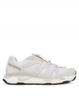 Salomon Tossud Xc Roam L49124600 Valge
