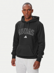 adidas Pluus Collegiate Script Graphic Hoodie KC7187 Must Regular Fit
