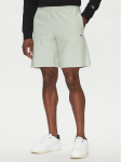 Champion Spordi&scaron;ortsid 220764 Roheline Loose Fit XL