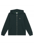 Lacoste Pluus SJ9723 Roheline Regular Fit