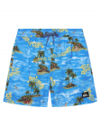 Quiksilver Ujumis&scaron;ortsid Everyday EQBJV03501 Sinine Regular Fit