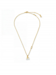 Coach Kaelakee 37571284 Kuldne