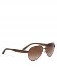 Armani Exchange P&auml;ikeseprillid 0AX2034S 605813 Pruun