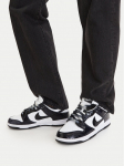 Nike Tossud Dunk Low Retro SE HQ1965 100 V&auml;rviline