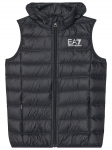 EA7 Emporio Armani Vest 7B000034 AF12477 UC001 Must Regular Fit