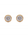 Coach K&otilde;rvar&otilde;ngad Signature Stone Earrings 37423484GLD111 Kuldne