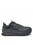Altra Matkajalatsid Olympus 6 Hike Low GTX AL0A85NN Must