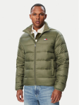 Tommy Jeans Sulejope DM0DM23231 Roheline Regular Fit