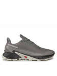 Salomon Jooksujalatsid Alphacross 5 473133 29 W0 Hall
