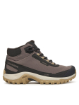 Salomon Matkajalatsid Shelter Waterproof L47855200 Pruun