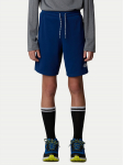 The North Face Spordi&scaron;ortsid Never Stop NF0A86U4 Sinine Regular Fit