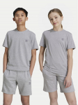 adidas T-s&auml;rk IX5267 Hall Regular Fit