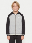 Quiksilver Pluus Knowledge Area EQBFT03949 V&auml;rviline Regular Fit