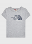 The North Face T-s&auml;rk Graphic NF0A7X5B Hall Regular Fit