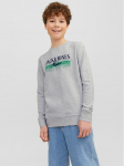 Jack & Jones Junior Pluus 12235502 Hall Standard Fit 176