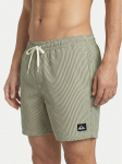 Quiksilver Ujumis&scaron;ortsid Everyday Deluxe EQYJV04101 Roheline Regular Fit