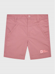 Jack Wolfskin Riidest &scaron;ortsid Sun 1605614 Lilla Regular Fit 104