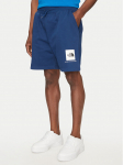 The North Face Spordi&scaron;ortsid Nse Box NF0A8C1J Sinine Regular Fit