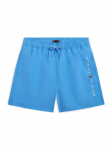 Tommy Hilfiger Ujumis&scaron;ortsid Original Logo Embroidery UB0UB00589 Sinine Regular Fit